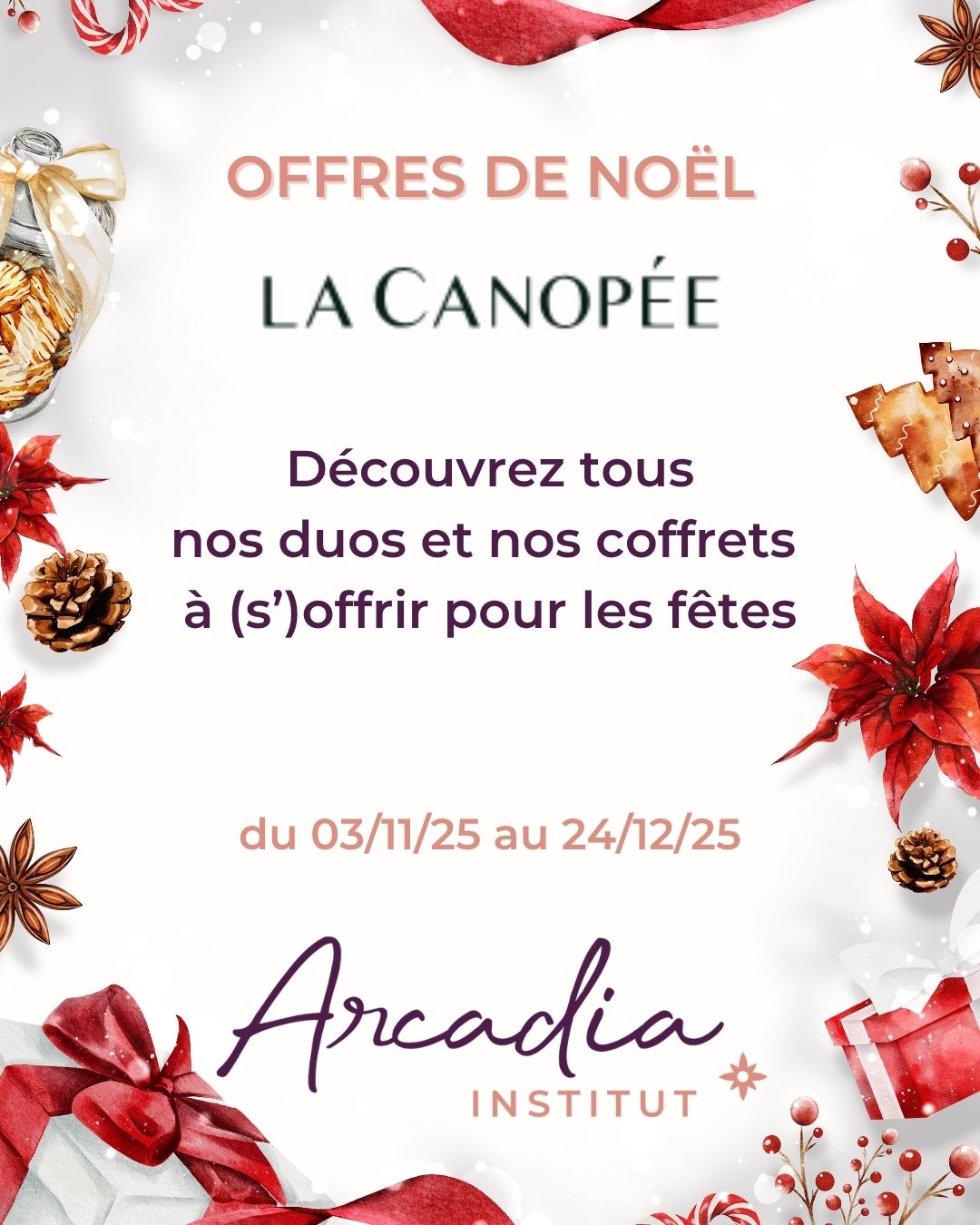 Offres de Noël La Canopée