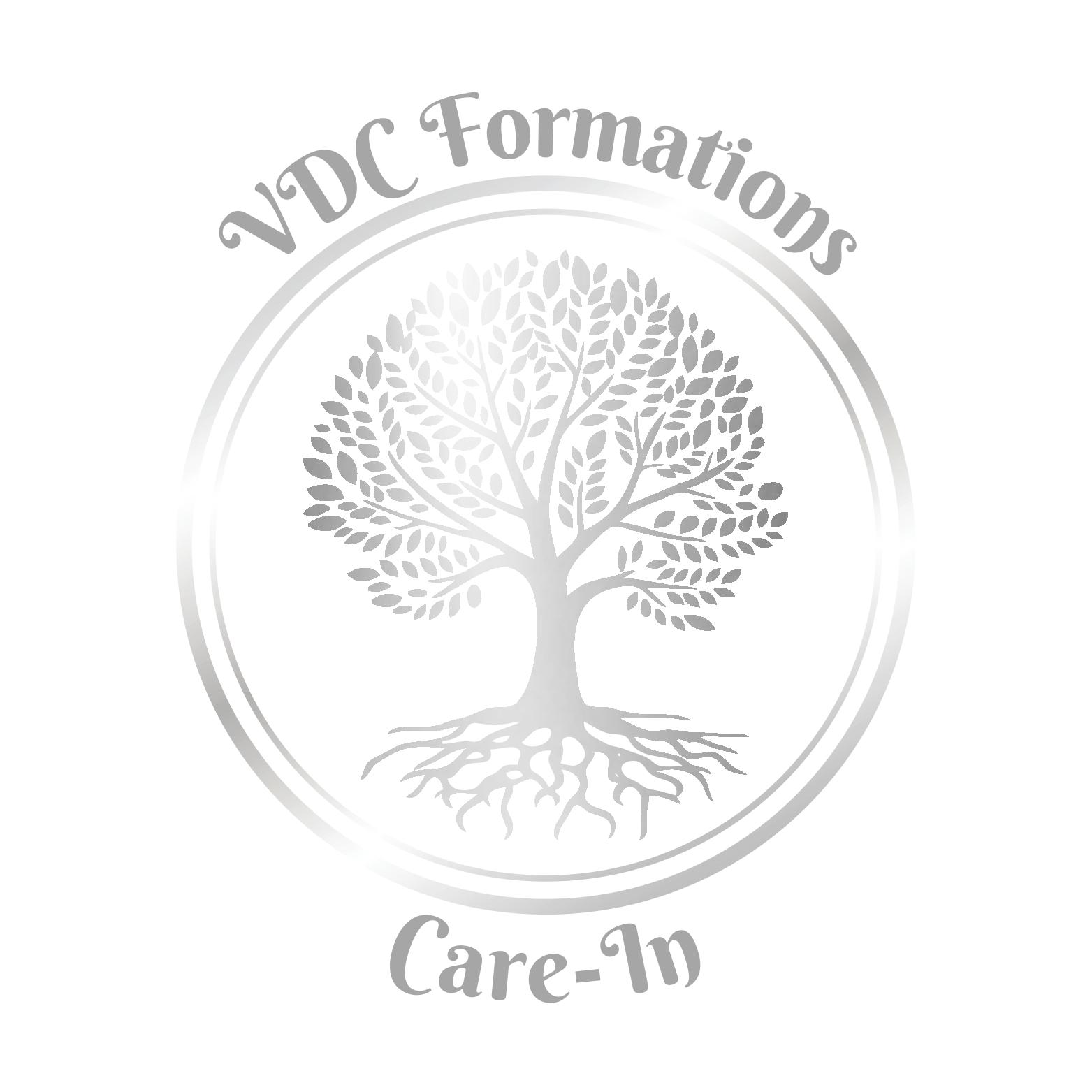 logo_vdc_formations